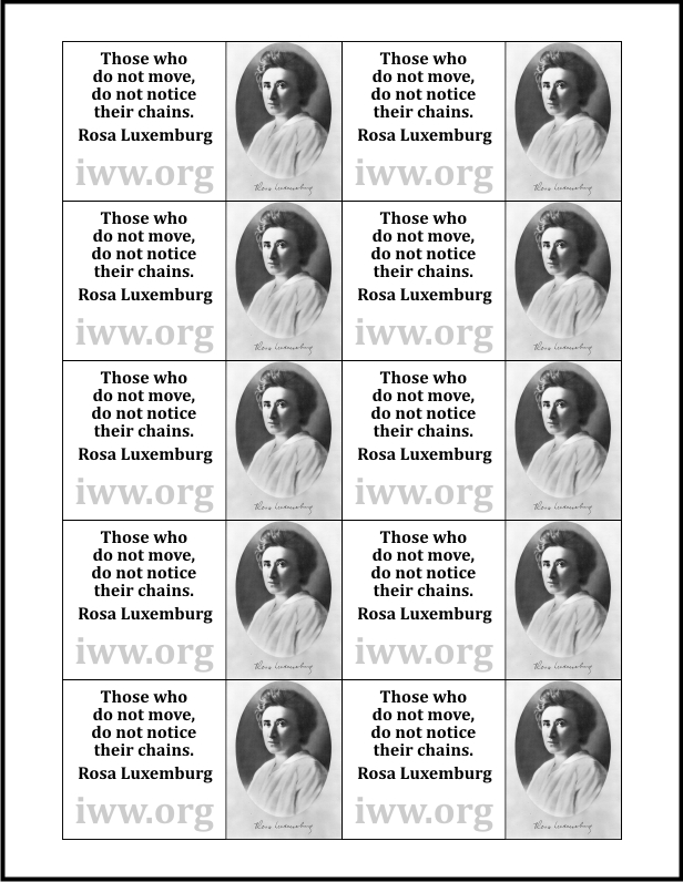 Rosa Luxemburg Silent Agitator